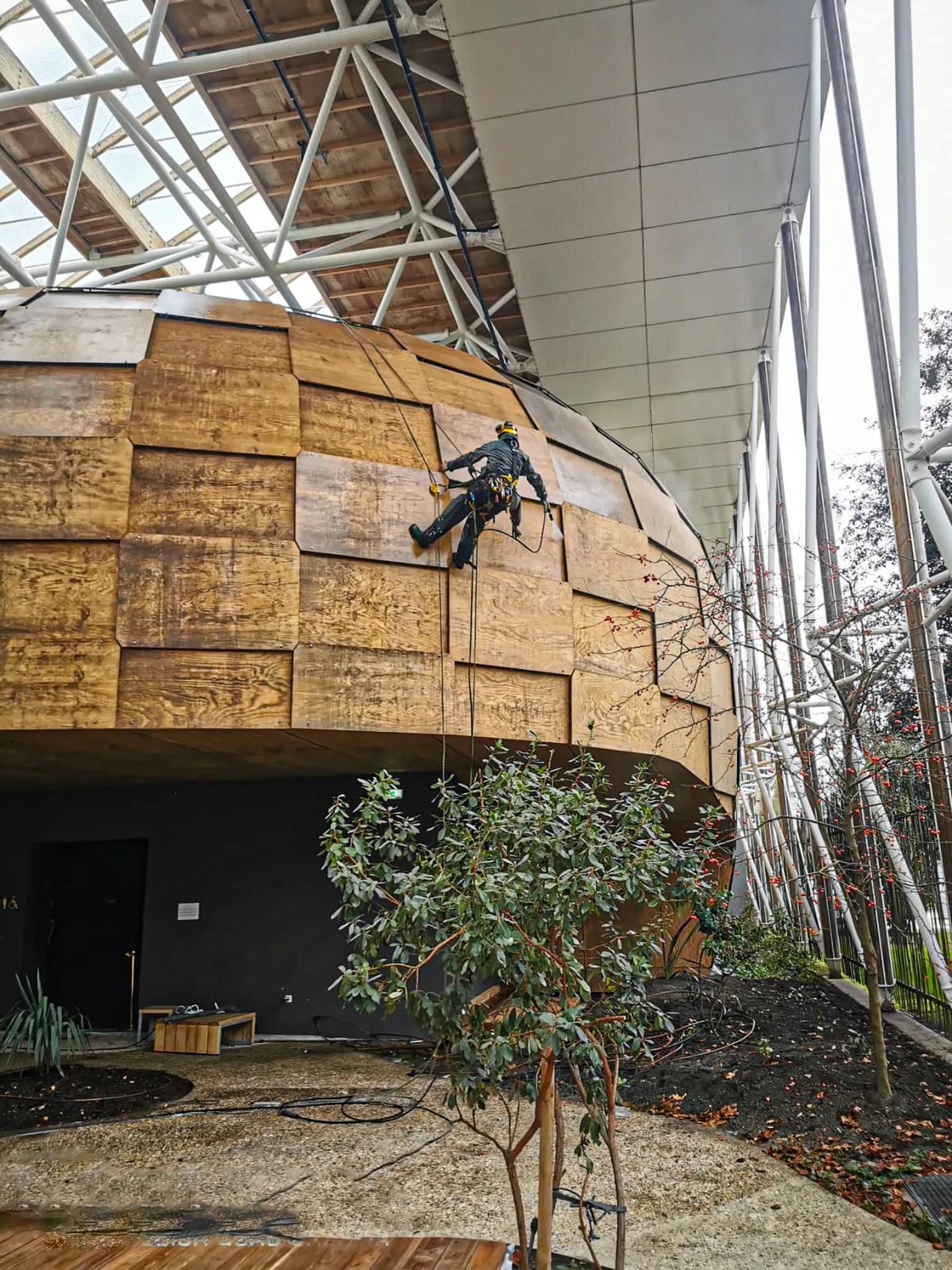 Intervention de cordistes MS Access pour faire briller le bois chez CAP METIERS à Pessac (bâtiment) – 1